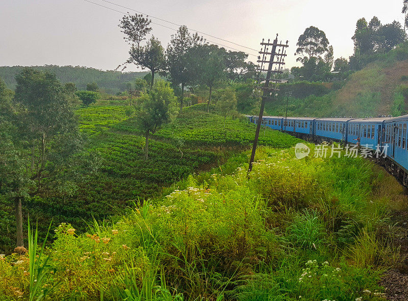 在斯里兰卡的火车旅行通过茶叶种植园Ella, Nuwara Eliya和Kandy